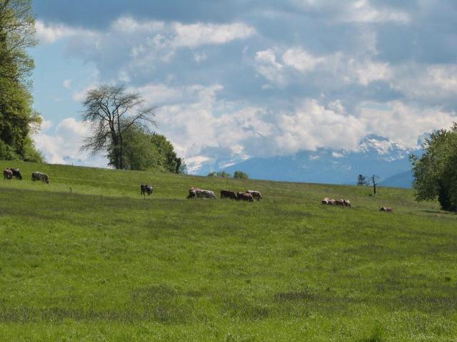 Rest Bauernhof in idyllischer Lage Nähe Bodensee zu verkaufen