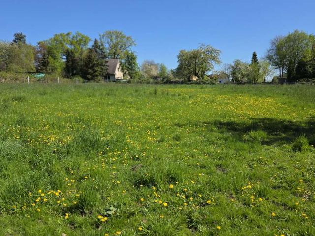 Resthof Abriss Landwirtschaftliche Fläche!
