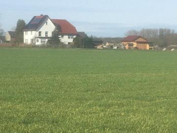 Resthof in Alleinlage zu verkaufen