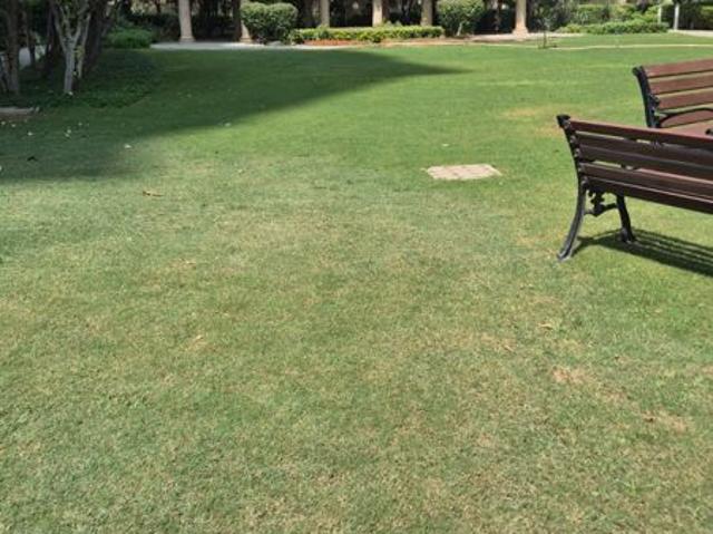 Resale | 3.5 BHK + 1936 Sq.Ft. Apartment in DLF New Town Heights I