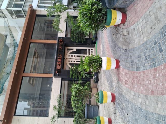 Resale | 3.5 BHK + Servant Room 2075 Sq.Ft. Apartment in JKG Palm Resort