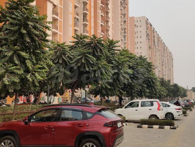 Resale | 3 BHK 1050 Sq.Ft. Apartment in Wave Dream Homes
