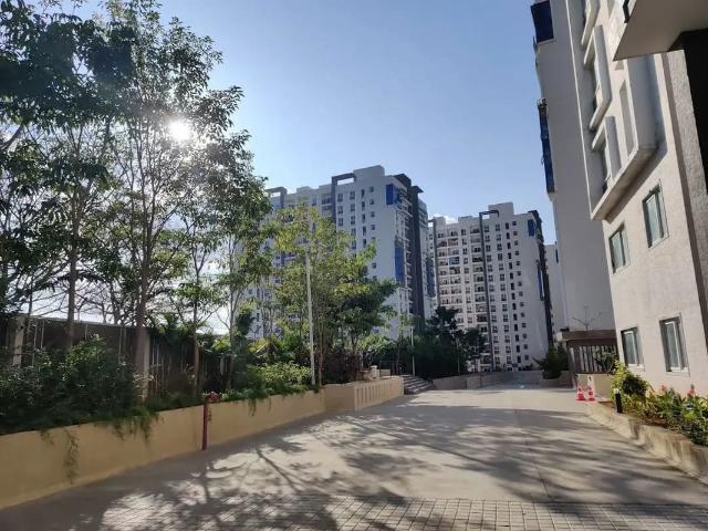 Resale | 3 BHK 1250 Sq.Ft. Apartment in Rayasandra