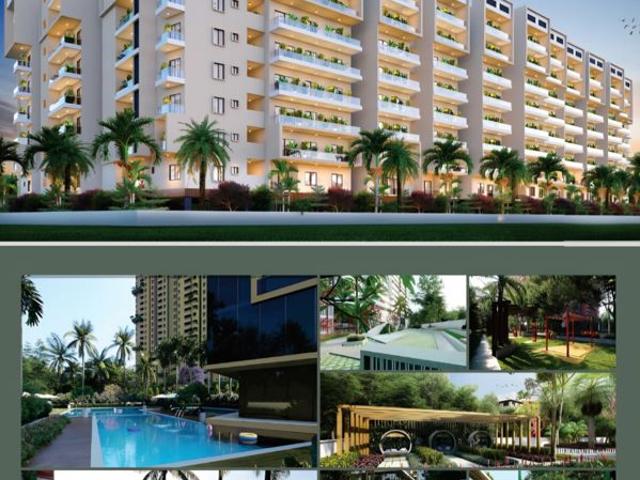 Resale | 3 BHK 1300 Sq.Ft. Apartment in Devanahalli