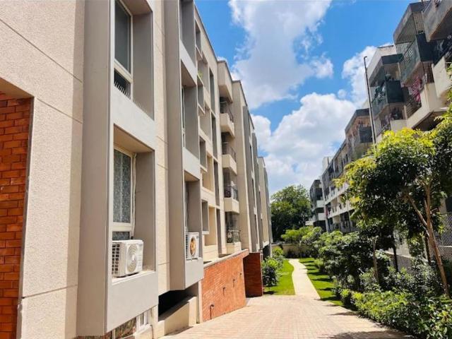 Resale | 3 BHK 1491 Sq.Ft. Apartment in Surbacon Cedar