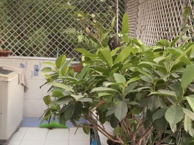 Resale | 3 BHK 1500 Sq.Ft. Apartment in Sector 1 Dwarka