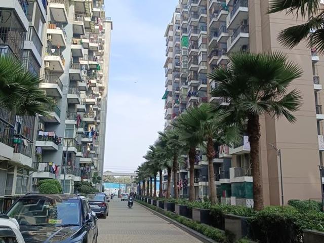 Resale | 3 BHK 1505 Sq.Ft. Apartment in Saviour Park
