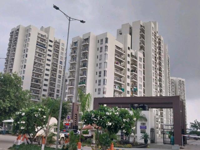 Resale | 3 BHK 1616 Sq.Ft. Apartment in Umang Winter Hills