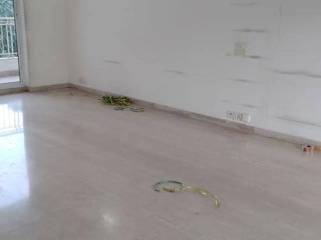 Resale | 3 BHK + 1704 Sq.Ft. Apartment in Tulip Yellow
