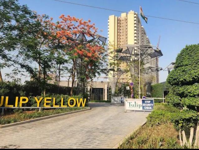 Resale | 3 BHK 1704 Sq.Ft. Apartment in Tulip Yellow