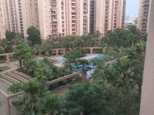 Resale | 3 BHK + 1805 Sq.Ft. Apartment in Orchid Petals