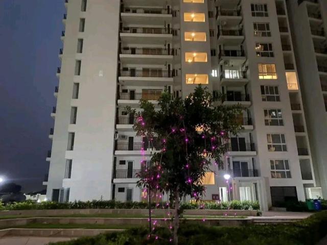 Resale | 3 BHK 1835 Sq.Ft. Apartment in Umang Winter Hills