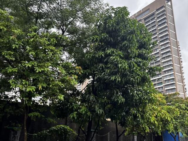 Resale | 3 BHK + 1935 Sq.Ft. Apartment in Balaji Delta Central