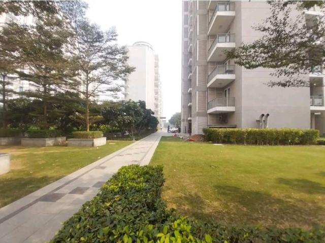 Resale | 3 BHK 2132 Sq.Ft. Apartment in DLF The Ultima