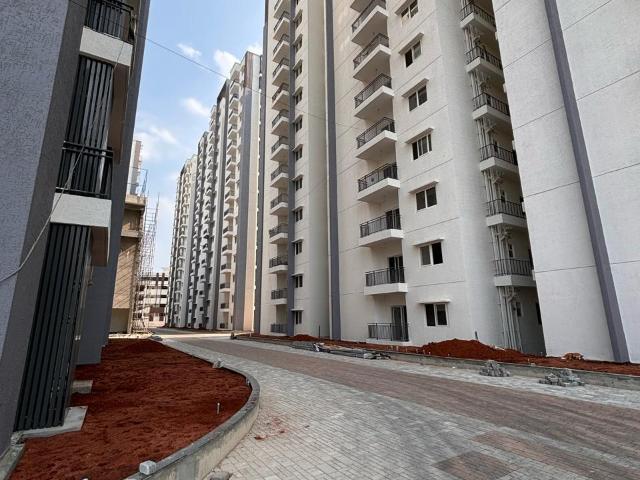 Resale | 3 BHK 2485 Sq.Ft. Apartment in Makuta My Space 2