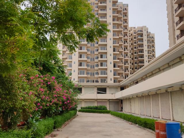 Resale | 3 BHK 716 Sq.Ft. Apartment in Pivotal Paradise
