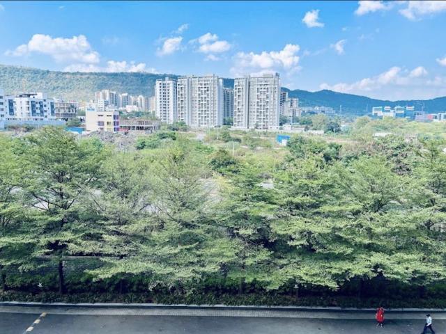 Resale | 3 BHK + 792 Sq.Ft. Apartment in Bhandari 32 Pinewood Drive