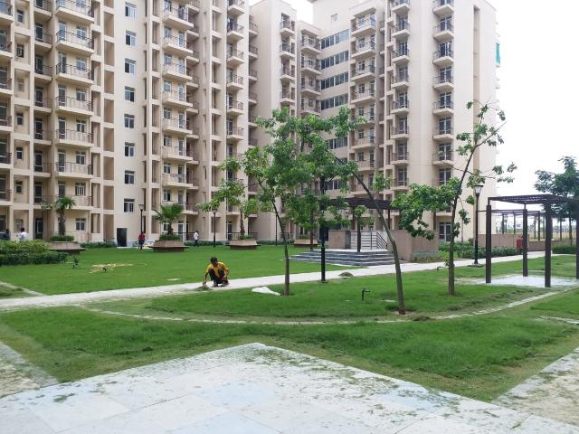 Resale | 3 BHK 980 Sq.Ft. Apartment in BPTP Park Elite Premium