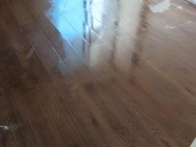 Resale | 3 BHK + Basement 1760 Sq.Ft. Apartment in Paras Dews