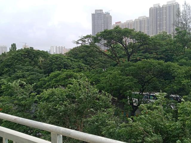 Resale | 3 BHK + Extra Room 1002 Sq.Ft. Apartment in Conwood Enclave