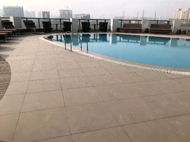 Resale | 3 BHK + Servant Room,Study Room 3744 Sq.Ft. Apartment in M3M Golf Estate