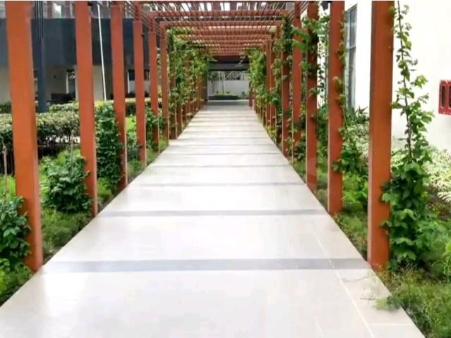 Resale | 3 BHK + Servant Room 2585 Sq.Ft. Apartment in Emaar Digi Homes