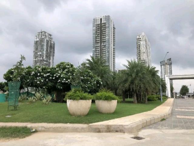 Resale | 3 BHK + Servant Room 3844 Sq.Ft. Apartment in M3M Golf Estate