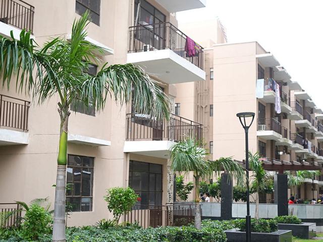 Resale | 3 BHK + Study Room 1320 Sq.Ft. Apartment in Signature Global Synera