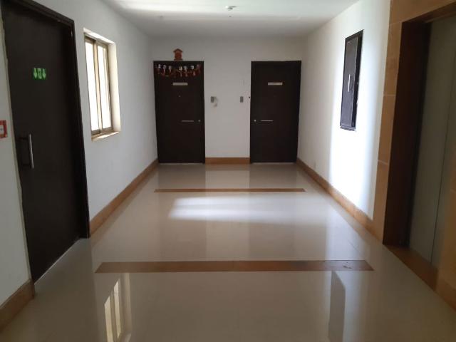 Resale | 3 BHK + Pooja Room 1250 Sq.Ft. Apartment in Palacia Kingston Phase 2