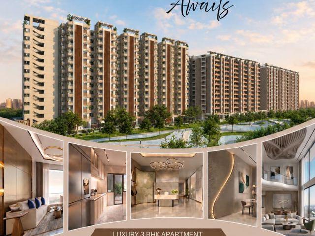 Resale | 3 BHK + Pooja Room 1580 Sq.Ft. Apartment in Chordias Gulmohar Heights