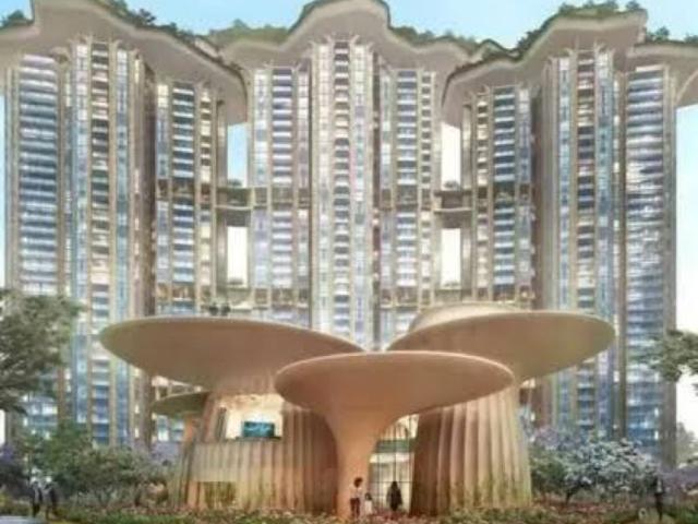Resale | 3 BHK + Pooja Room,Servant Room,Study Room,Extra Room 2219 Sq.Ft. Apartment in Tulip Monsella