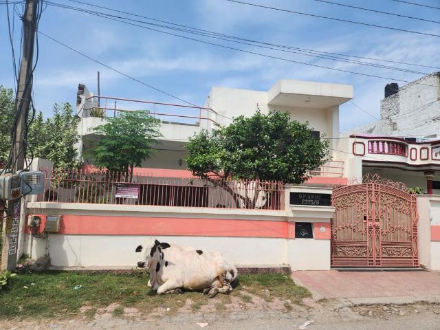 Resale | 3 BHK + Pooja Room,Servant Room,Store Room 250 Sq.Ft. Independent House in Sector 8
