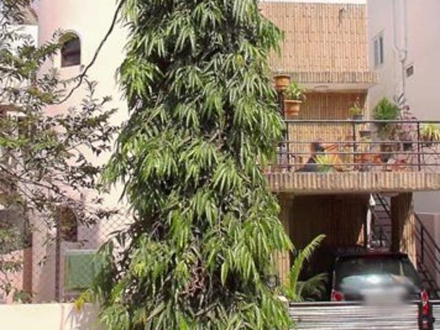 Resale | 3 BHK + Prayer Room 202 Sq.Yd. Villa in Tirumalagiri