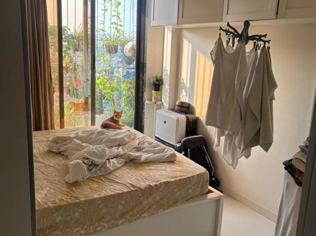 Resale | 1 BHK + 430 Sq.Ft. Apartment in Gami Reagan