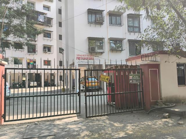 Resale | 1 BHK 450 Sq.Ft. Apartment in Spaghetti Complex
