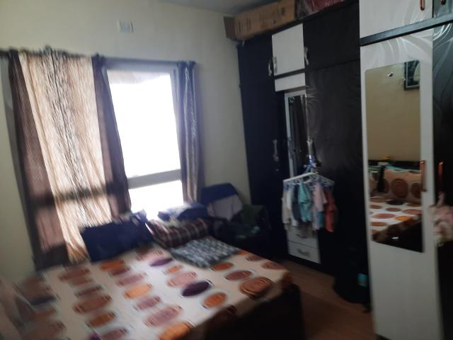 Resale | 1 BHK 489 Sq.Ft. Apartment in DB Orchid Ozone