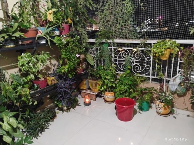 Resale | 1 BHK 615 Sq.Ft. Apartment in GK Royal Hills