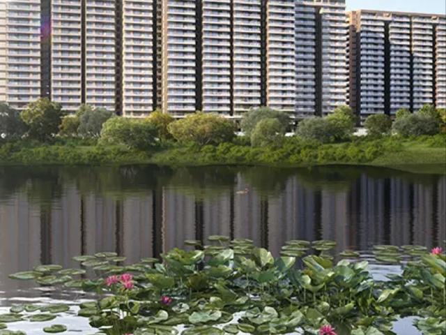 Resale | 1 BHK 650 Sq.Ft. Apartment in Prestige Raintree Park
