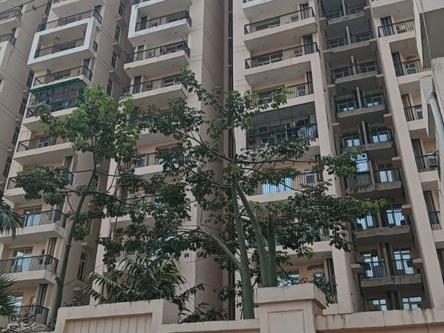 Resale | 1 BHK 684 Sq.Ft. Apartment in Eureka Diya Green City