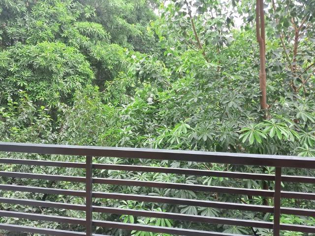 Resale | 1 BHK 700 Sq.Ft. Apartment in Sarita Vihar