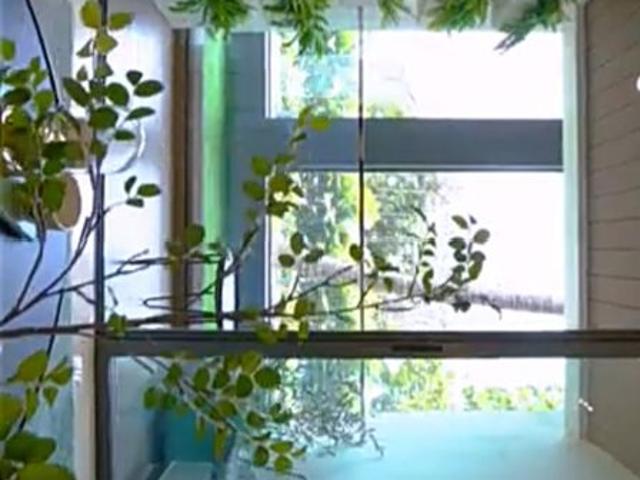 Resale | 1 BHK + Pooja Room 400 Sq.Ft. Apartment in The Royal Oaks Residency