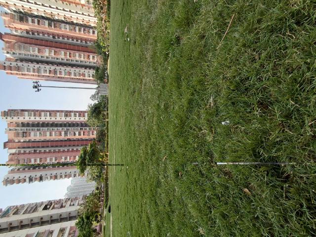 Resale | 1 BHK + Pooja Room 650 Sq.Ft. Apartment in Siddharth Vihar