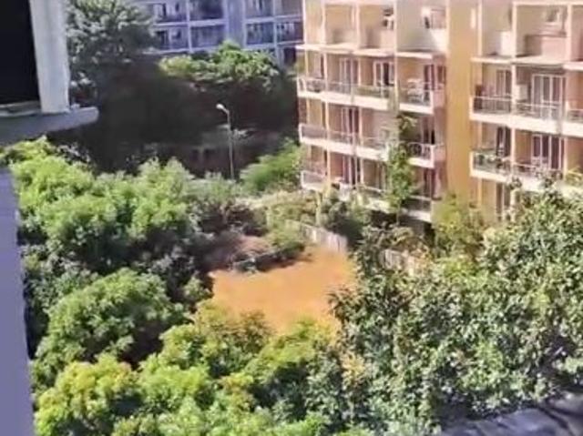 Resale | 1 Rk 280 Sq.Ft. Apartment in Ireo Skyon
