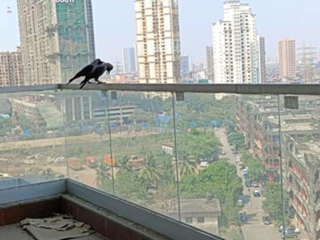 Resale | 2.5 BHK + 807 Sq.Ft. Apartment in Neumec Shreeji Towers