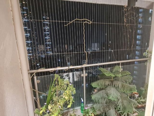 Resale | 2.5 BHK + Pooja Room,Servant Room,Study Room,Extra Room,Basement,Store Room 1280 Sq.Ft. Apartment in Evershine Crown