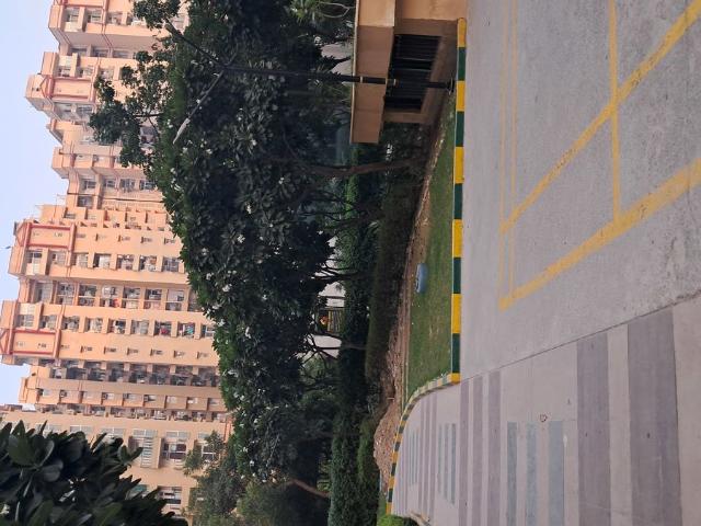 Resale | 2.5 BHK + Study Room 1015 Sq.Ft. Apartment in Amrapali Princely Estate
