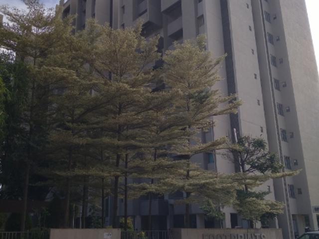 Resale | 2 BHK 1094 Sq.Ft. Apartment in Goyal Footprints