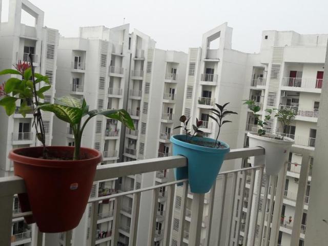 Resale | 2 BHK 1005 Sq.Ft. Apartment in JKG Palm Resort