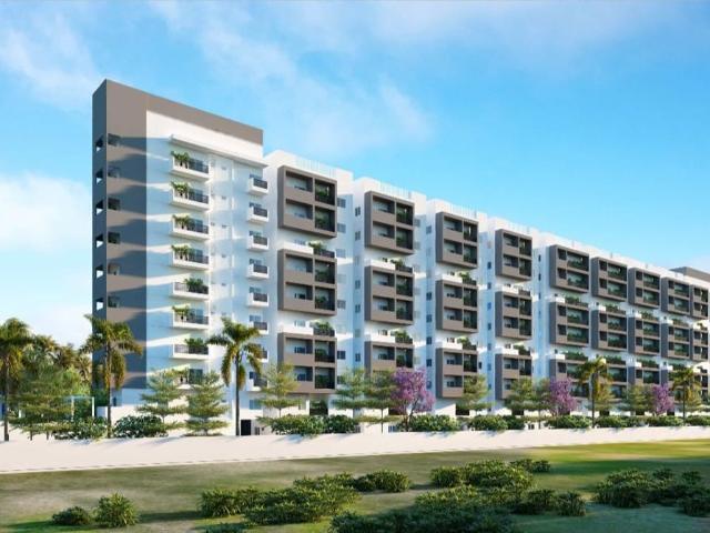 Resale | 2 BHK 1217 Sq.Ft. Apartment in Platinum East Woods