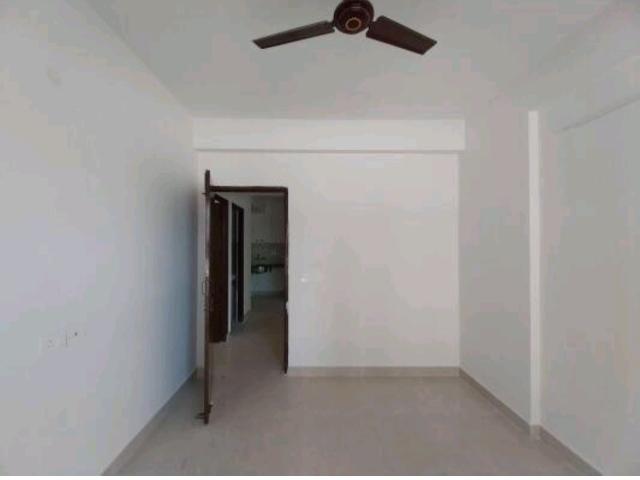 Resale | 2 BHK 543 Sq.Ft. Apartment in Signature Global Orchard Avenue